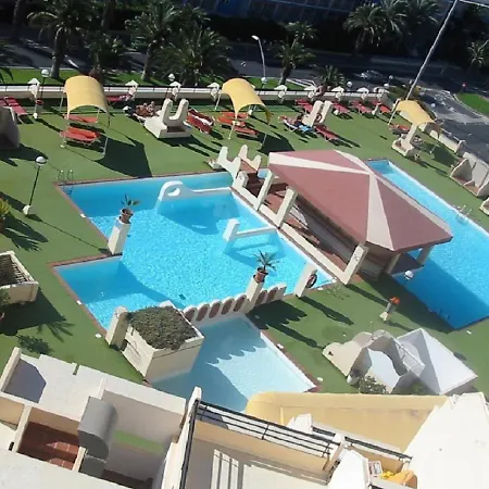 Palm Garden * モロ・デル・ハブレ