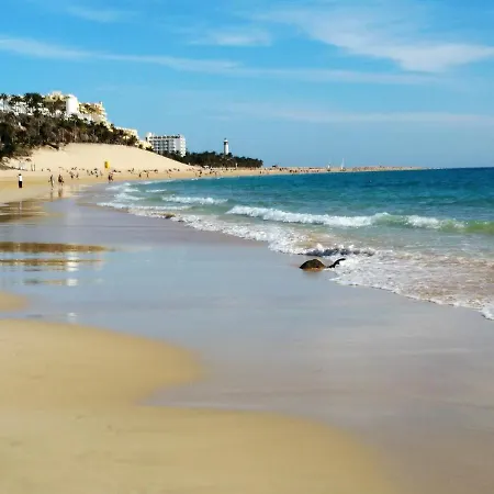 Apartment Palm Garden *
