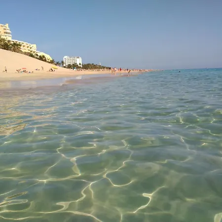 Apartment Palm Garden