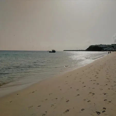 Palm Garden * モロ・デル・ハブレ