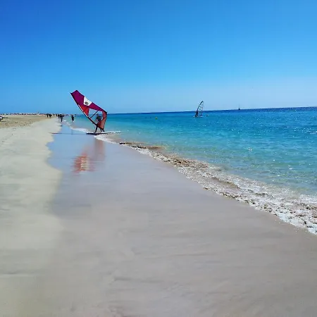 アパート Palm Garden モロ・デル・ハブレ