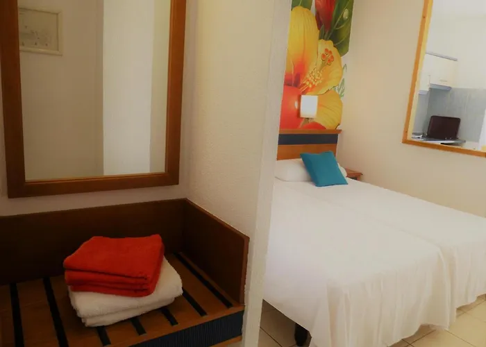 Palm Garden Lejlighed