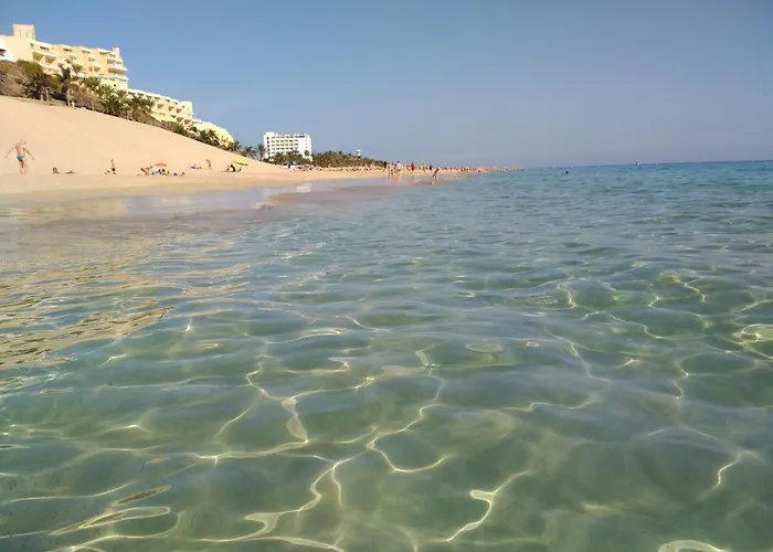 Lejlighed Palm Garden