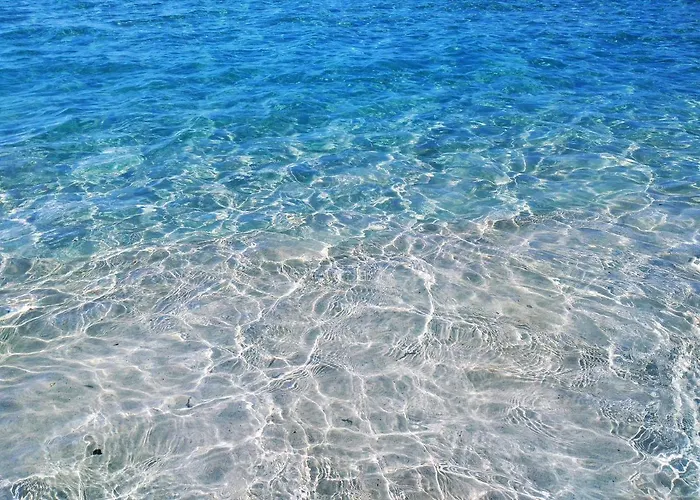 Palm Garden Lejlighed