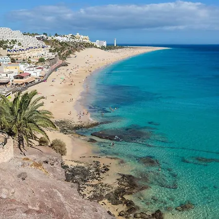 Lägenhet Palm Garden *