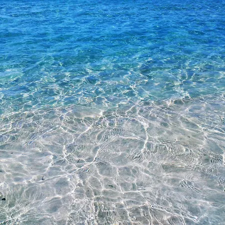 Palm Garden Appartement