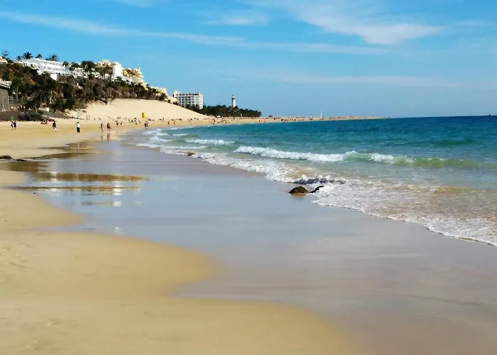 شقة Palm Garden *