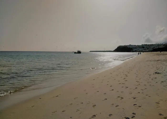 Palm Garden * مورو ذيل خابلِ